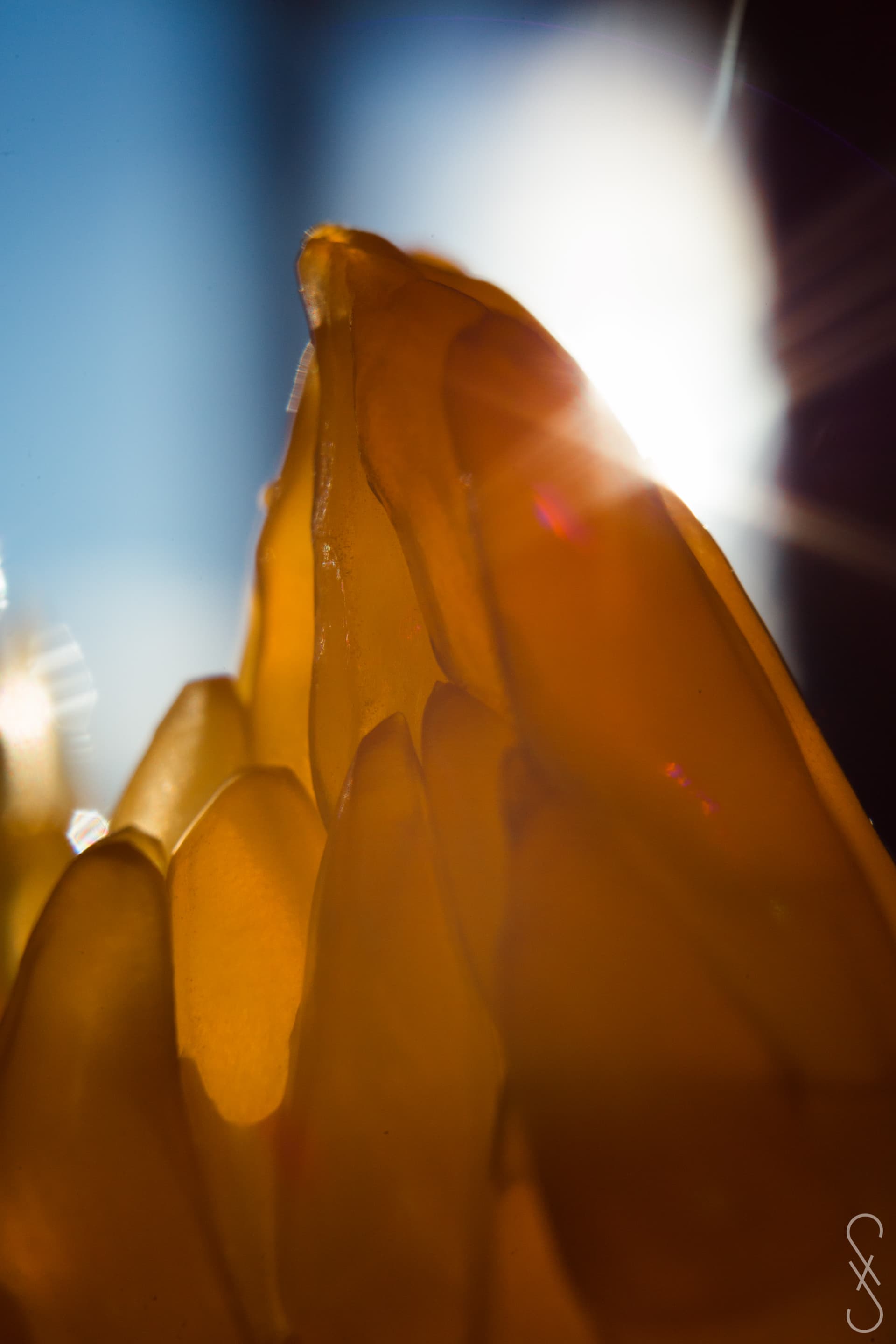 Un morceau de clémentine pris en gros plan, formant un pic avec le soleil se montrant très légèrement derrière.